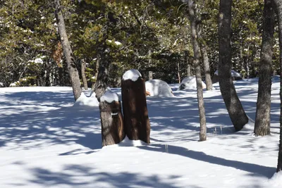 DSC_4914 (Large).JPG